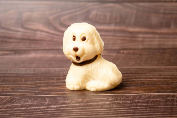 Cachorro Coleira 60g