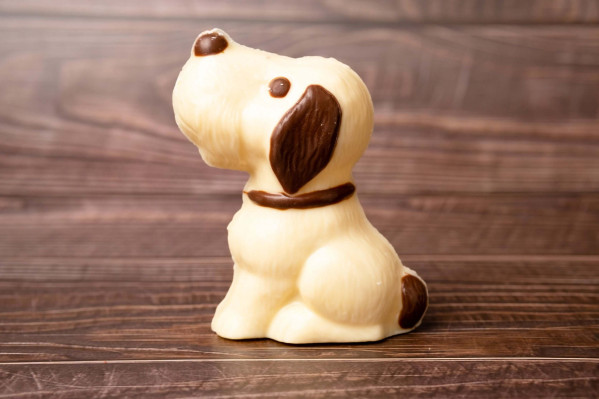 Cachorro Snoopy 60g