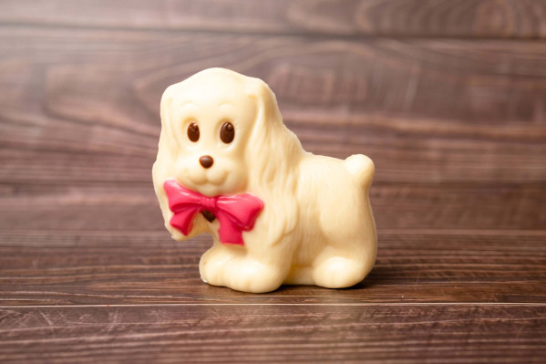 Cachorro Laço 60g