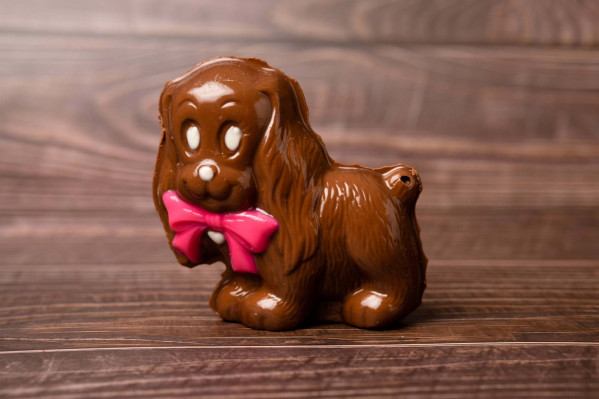 Cachorro Laço 60g